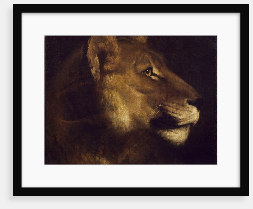 Head of lioness by Theodore Gericault