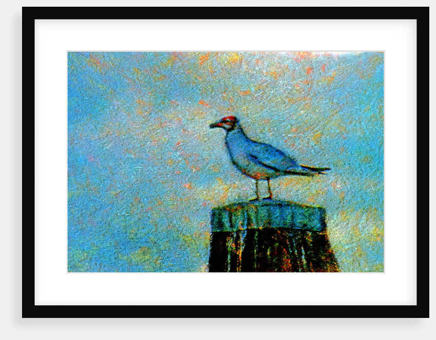 Bird by Anonymous