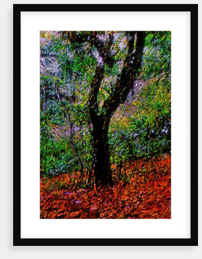 Tree by Anonymous