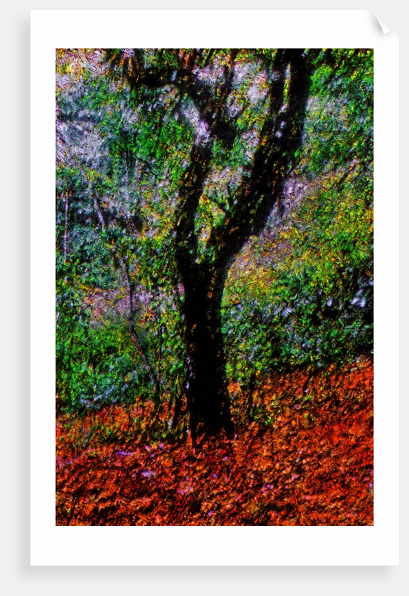 Tree by Anonymous