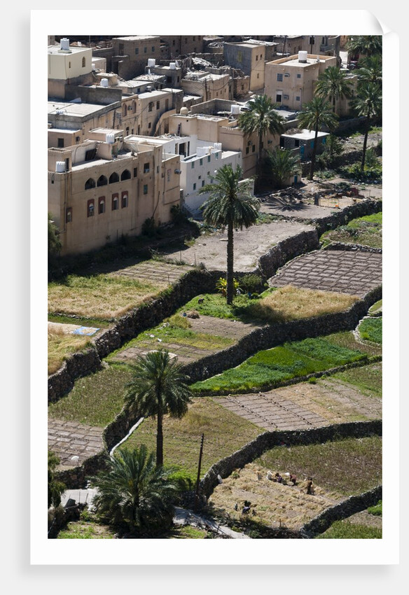 Al Hajir, Oman. by Anonymous