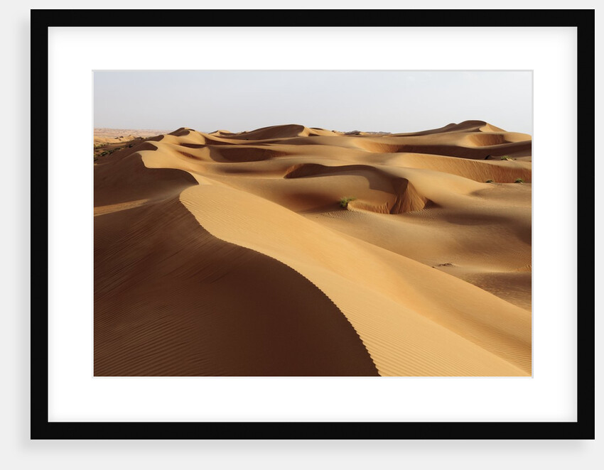 Desert sand dunes by Anonymous