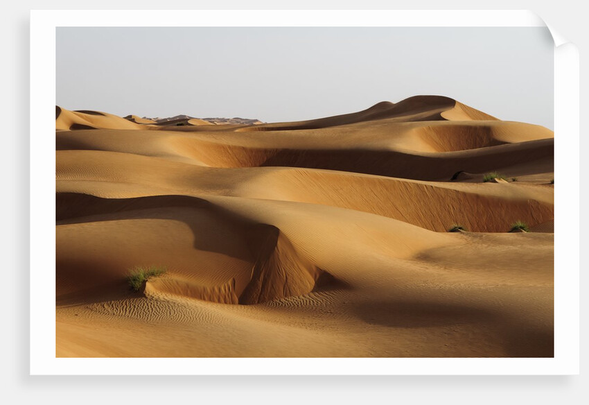 Desert sand dunes by Anonymous