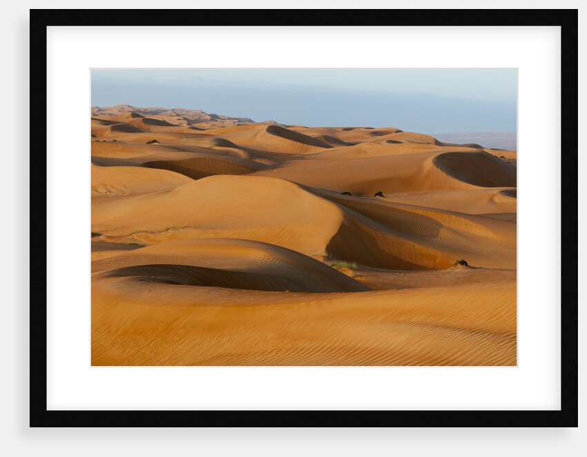 Desert sand dunes by Anonymous