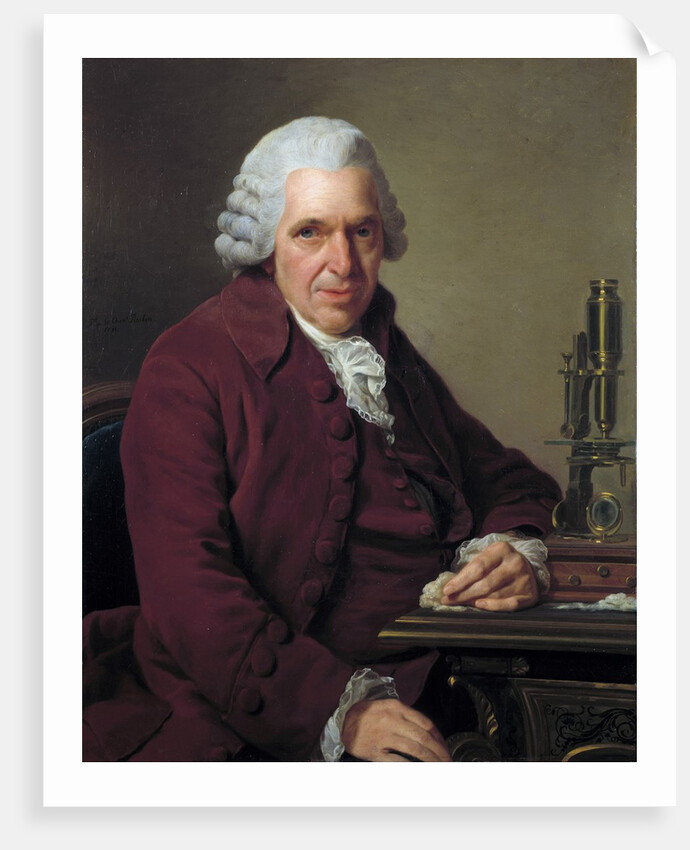 Portrait of Daubenton by Alexandre Roslin