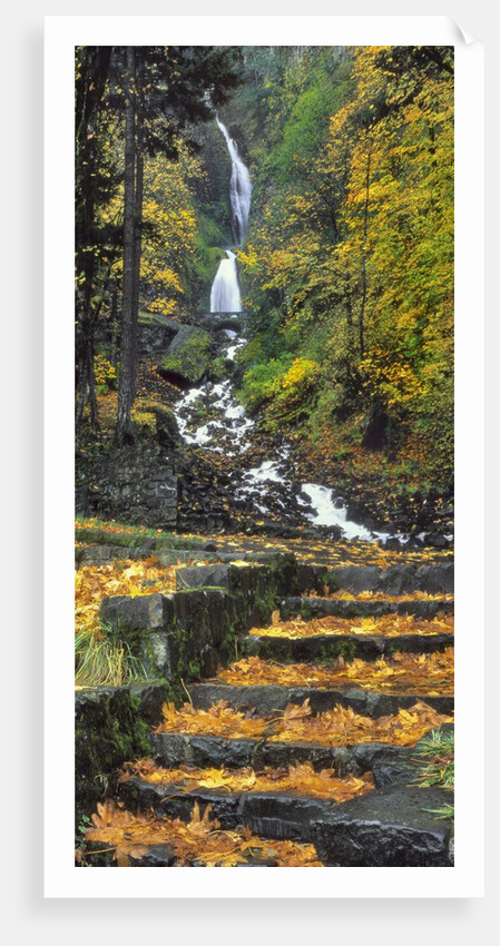 Wahkeena Falls by Anonymous