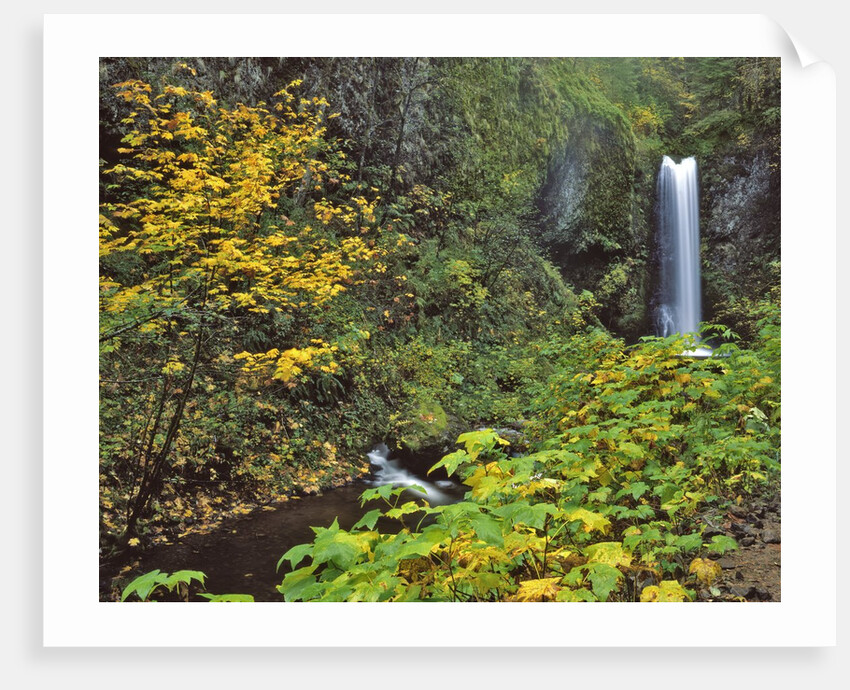 Upper Multnomah Falls by Anonymous