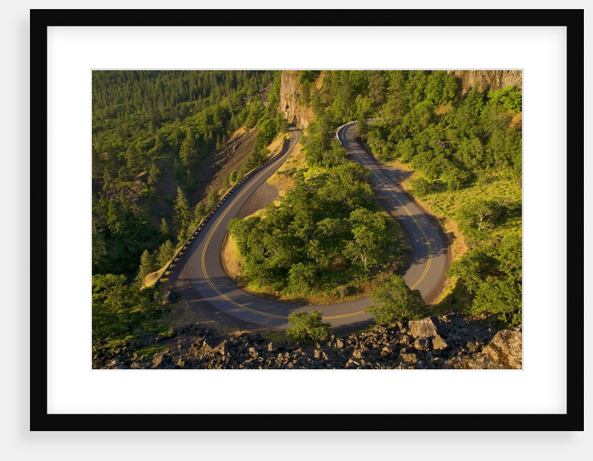Rowena Loop Road by Anonymous