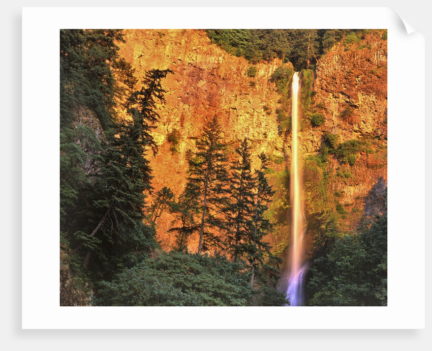 Evening light on Multnomah Falls by Anonymous