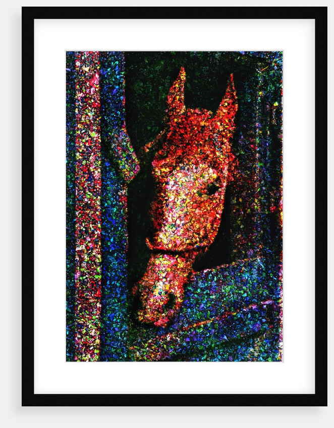 Horse by Anonymous