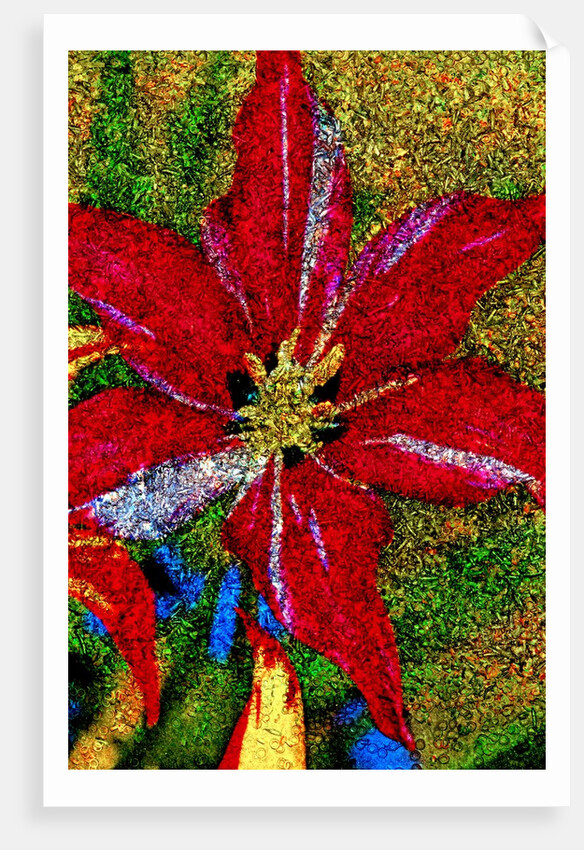 Red Flower by Anonymous