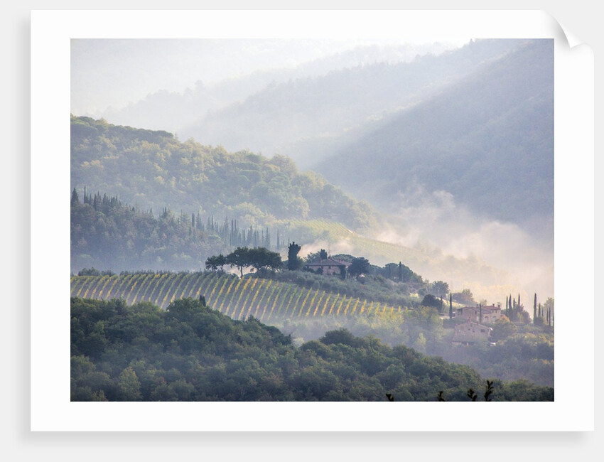 View from above of Tuscan villa and vineyard on a foggy morning by Anonymous