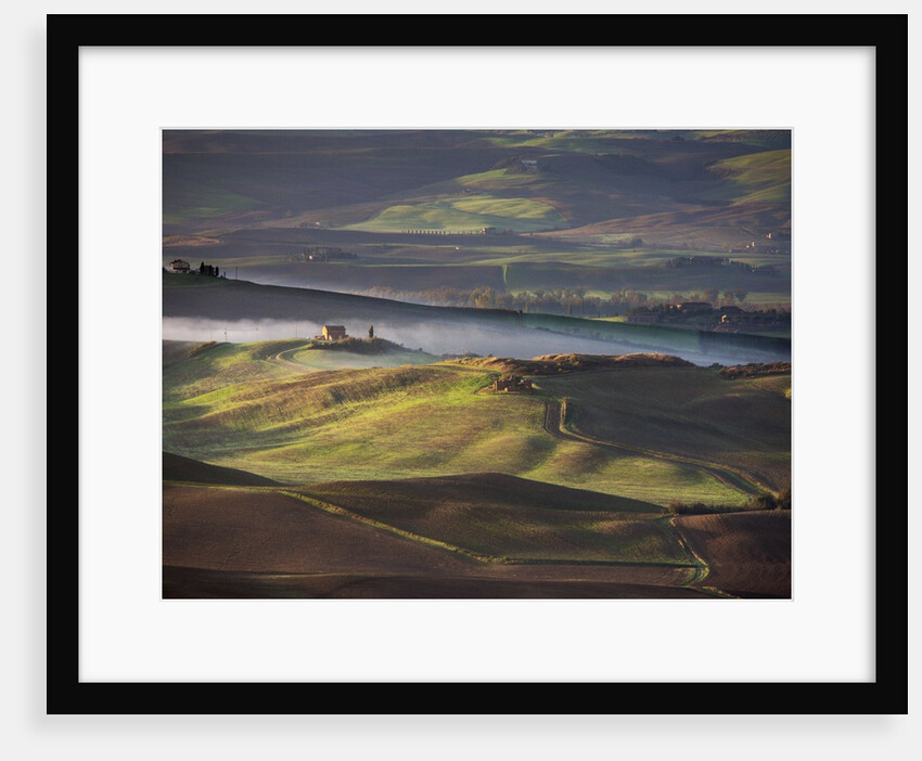 Morning light over the fields of Winter Wheat above the Tuscan Landscape by Anonymous