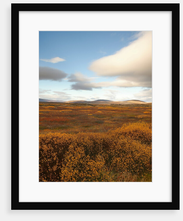 Valley of Fall color by Anonymous