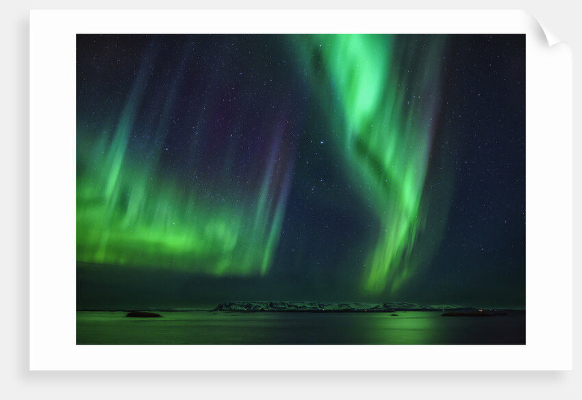 Aurora Borealis or Northern Lights, Iceland by Anonymous