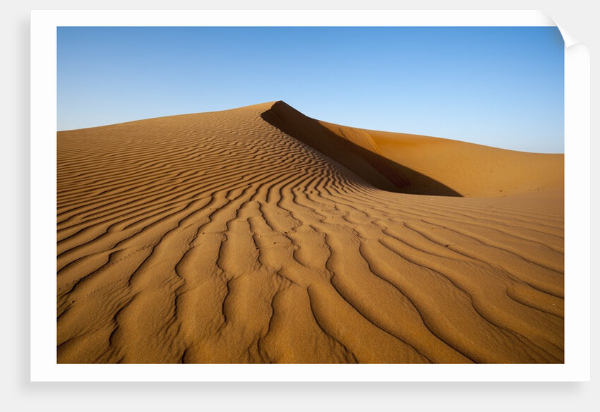 Sand dunes by Anonymous
