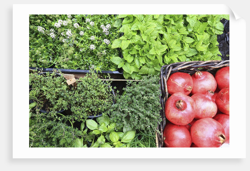 Campo de' Fiori everyday market. by Anonymous