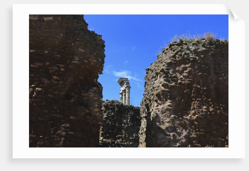 The roman forum. by Anonymous