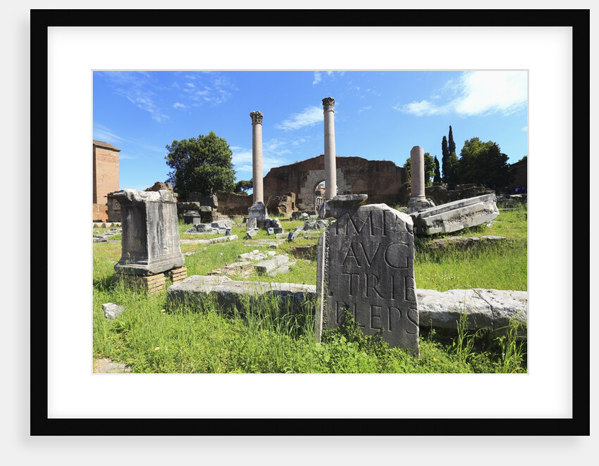 The roman forum. by Anonymous