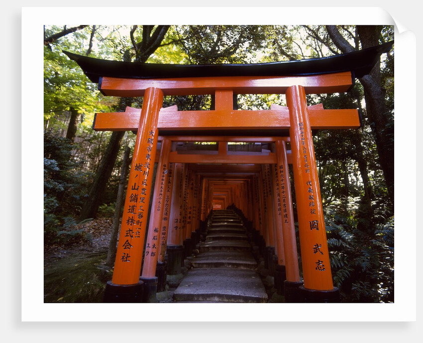 Torii, Fushimi Inari-taisha Shrine , Kyoto, Japan by Anonymous
