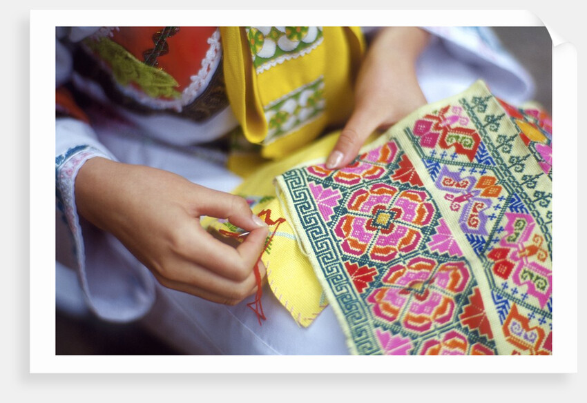 Girl weaving Nax, China by Anonymous