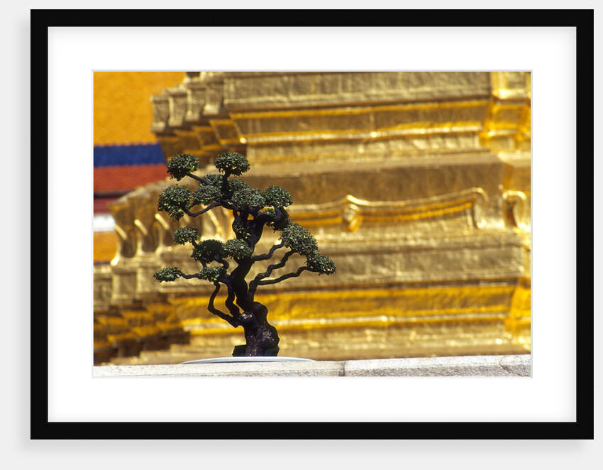 Detail of Wat Phra Kaeo, Bangkok, Thailand by Anonymous