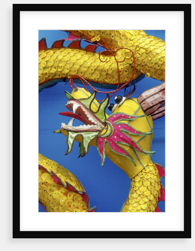 Chinese dragon, Shenzen, China by Anonymous