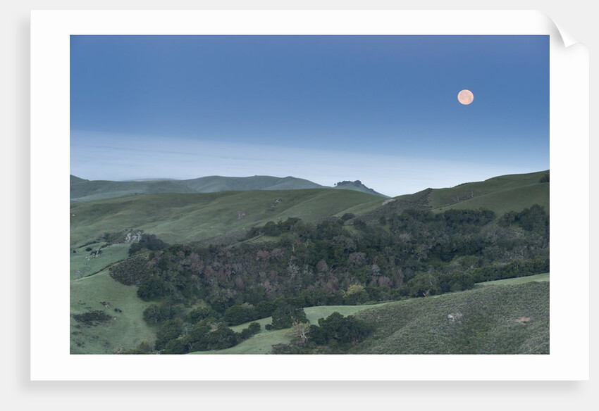 Full Moon Over the Central Coast by Anonymous
