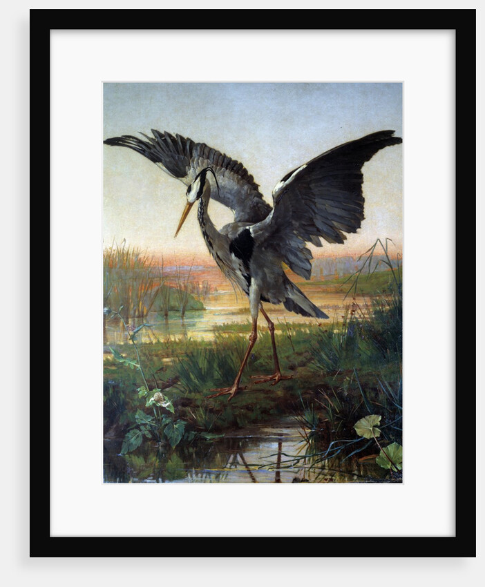 The Heron by Louis-Emile Villa