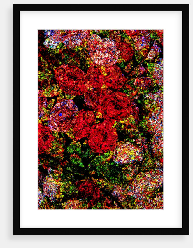 Red Flowers by Anonymous