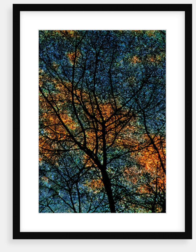 Tree by Anonymous