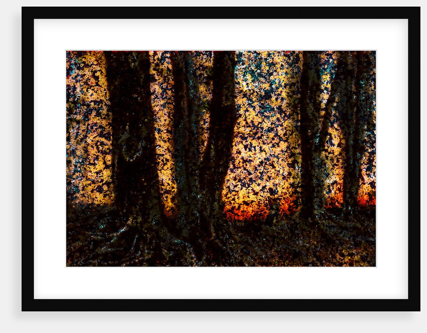 Trees by Anonymous