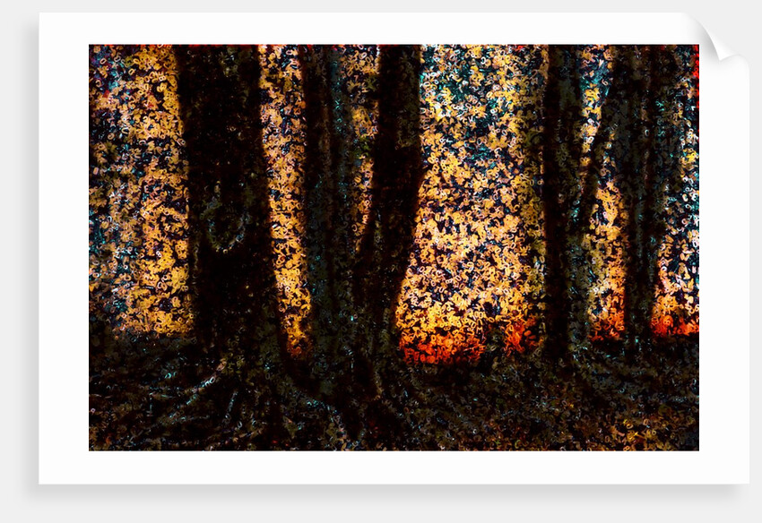 Trees by Anonymous