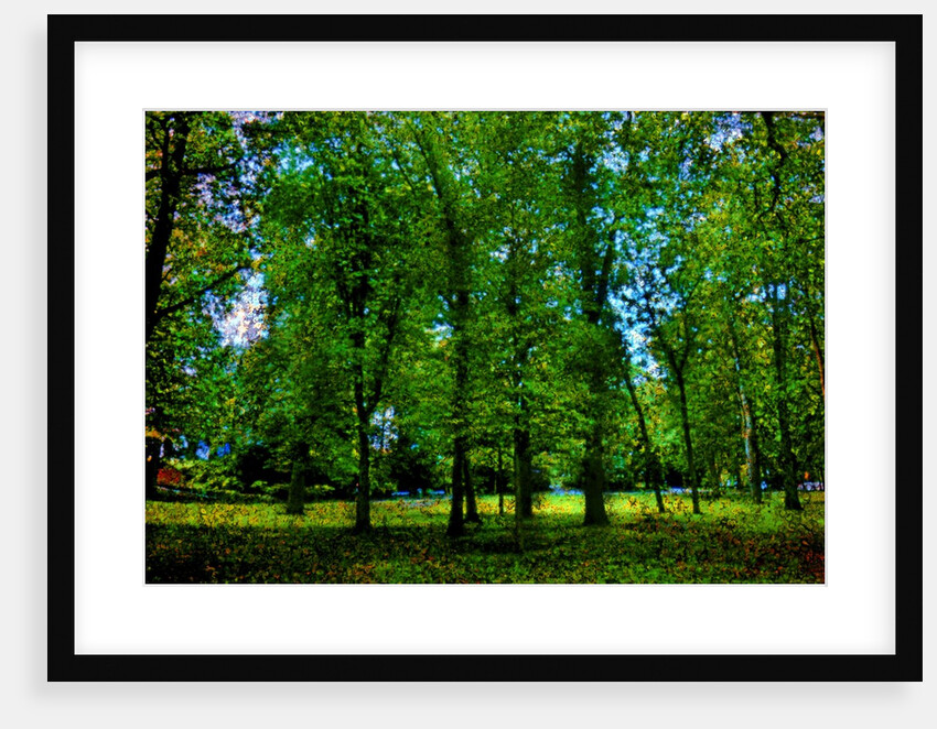 Green by Anonymous