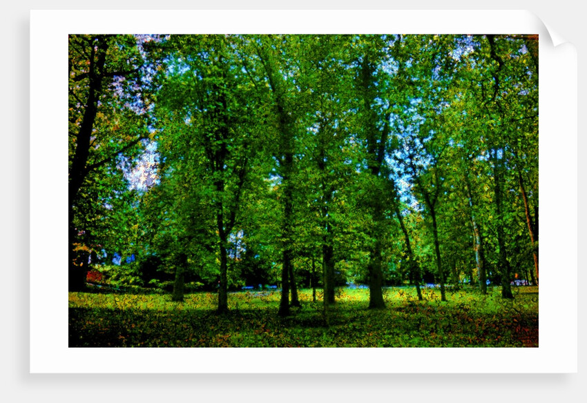 Green by Anonymous