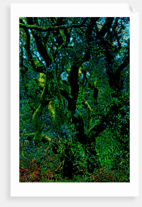 Green by Anonymous