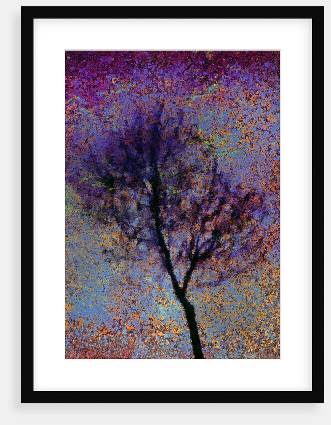 Tree by Anonymous