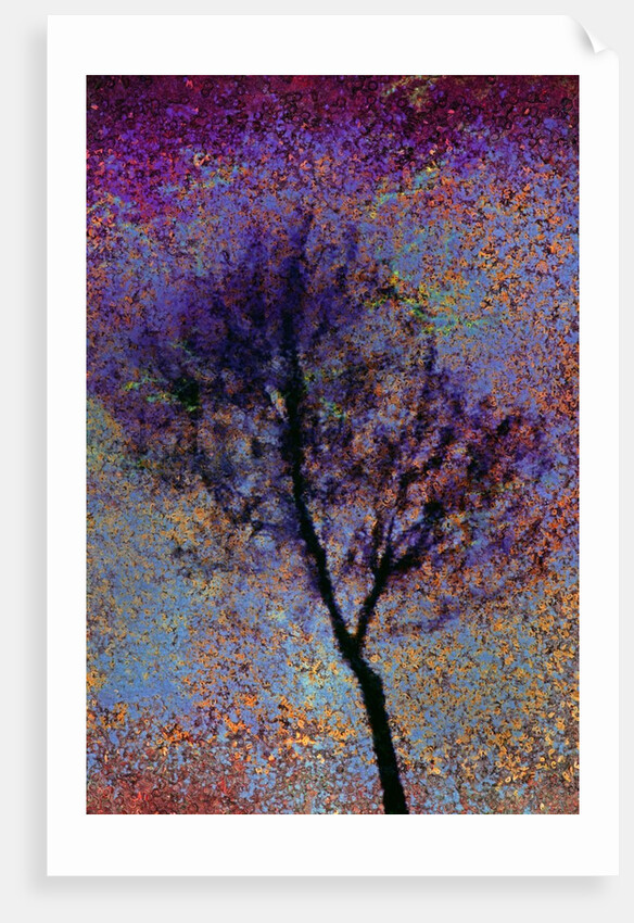 Tree by Anonymous