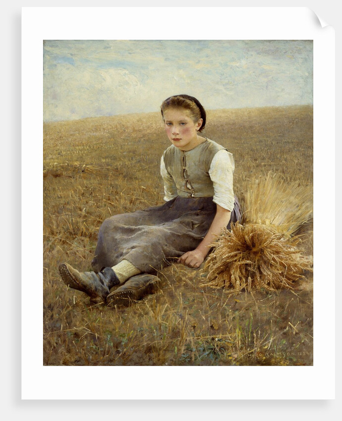 The little gleaner by Hugo Salmson