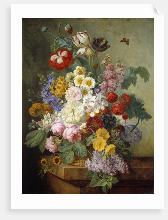 Flowers in a rock by Elise Bruyere