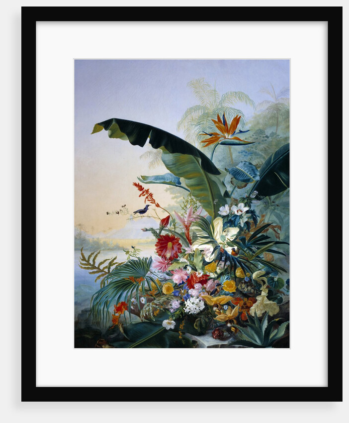 Exotic flowers by Jean Benner