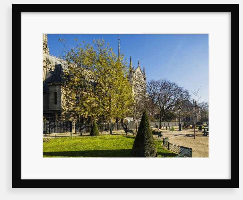 La Cite, small garden near the Cathedrale (cathedral) de Notre Dame by Anonymous