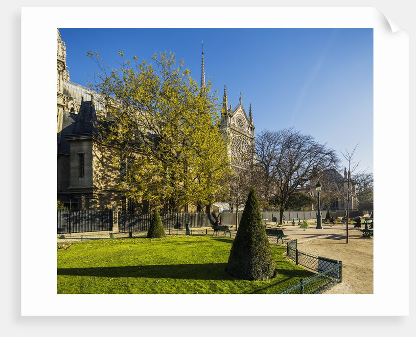 La Cite, small garden near the Cathedrale (cathedral) de Notre Dame by Anonymous