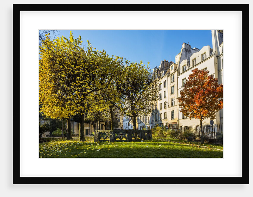 The garden of Place Rene Viviani in autumn by Anonymous