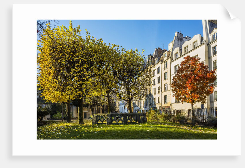 The garden of Place Rene Viviani in autumn by Anonymous