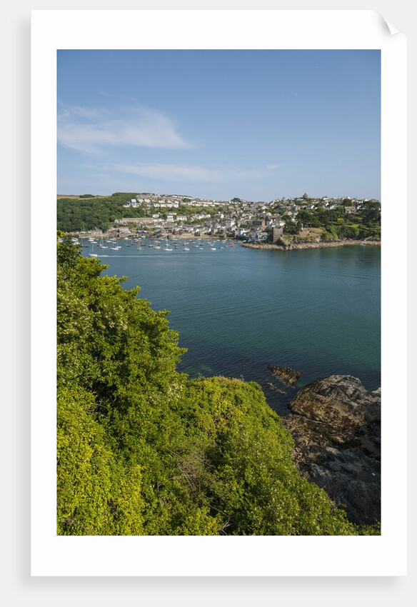 View of Polruan from Fowey by Anonymous
