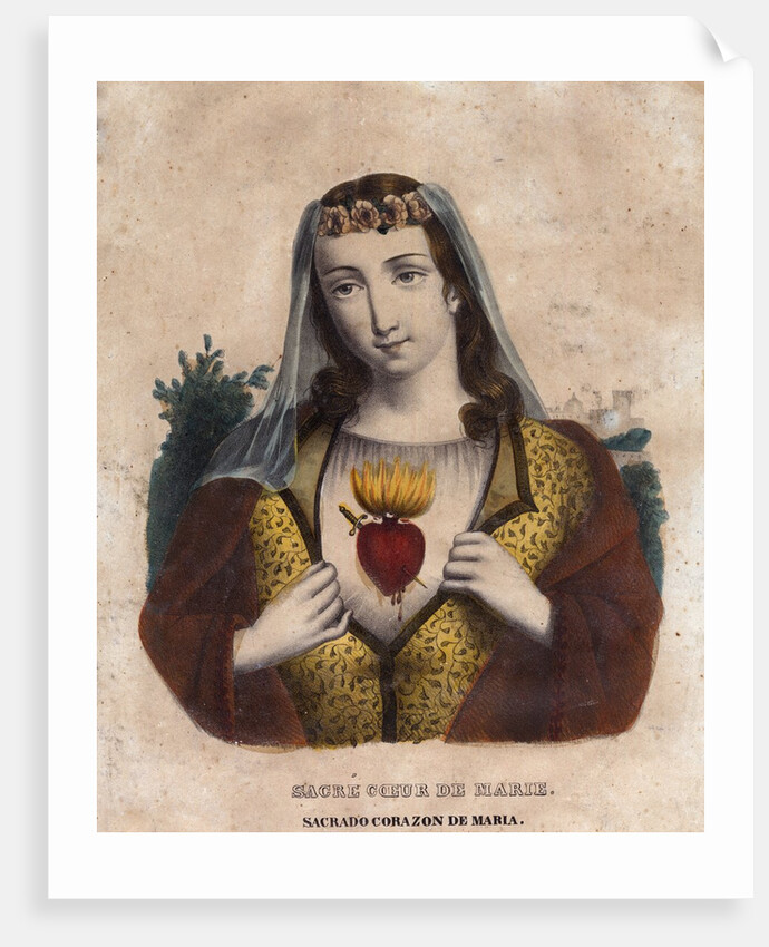 the Immaculate Heart of Mary by Anonymous