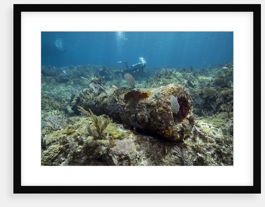 Diver peruses 10,000 pound Cannon. by Anonymous