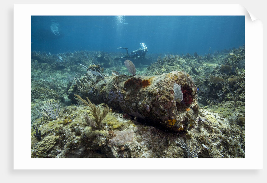 Diver peruses 10,000 pound Cannon. by Anonymous