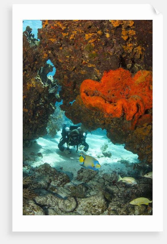 Technical diver on coral reef. by Anonymous